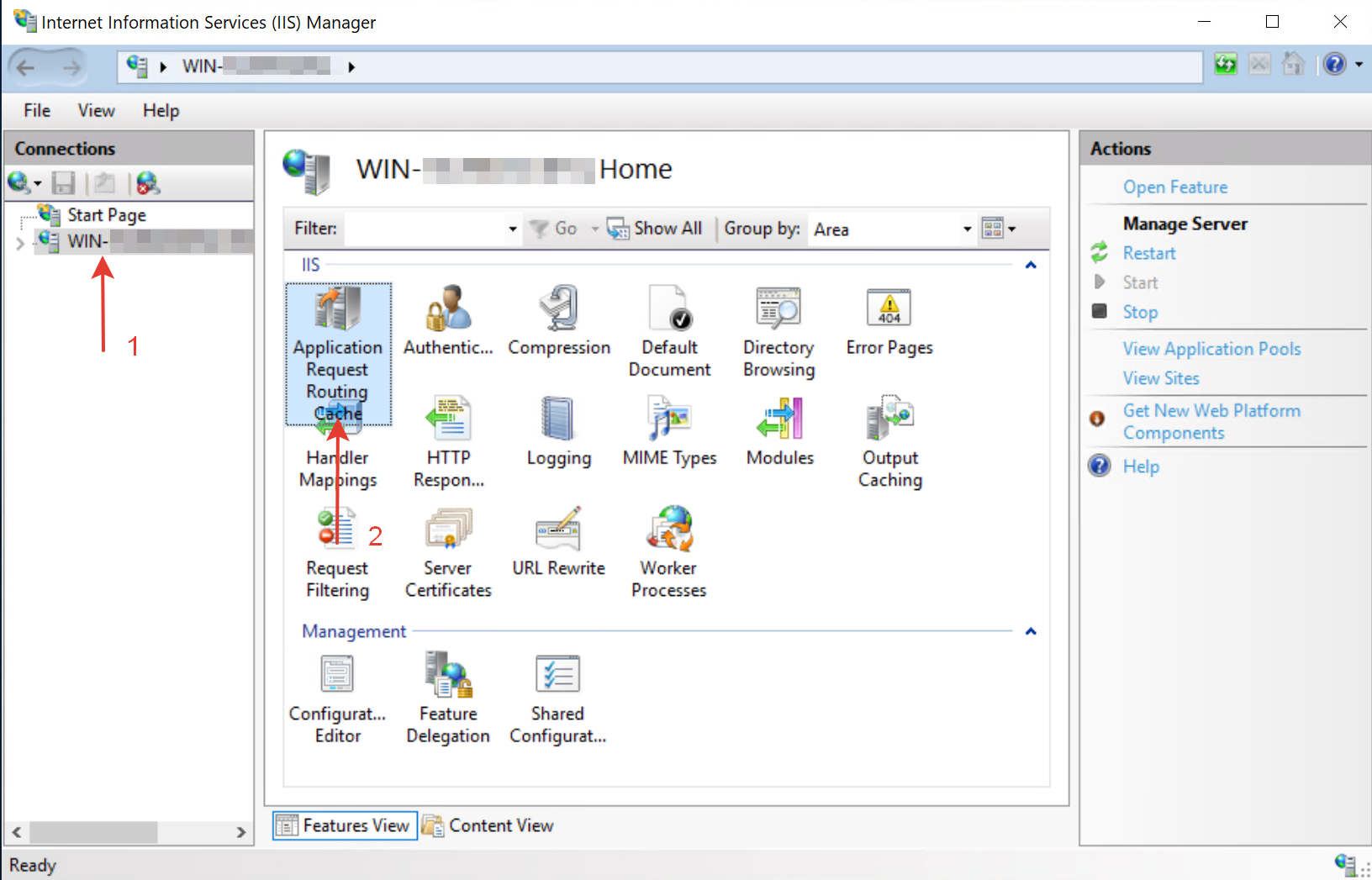 Раздел Application Request Routing Cache