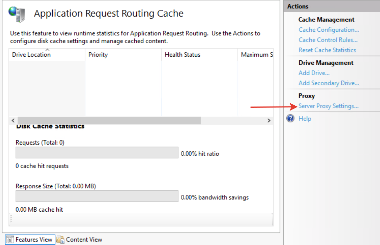 Настройка Server Proxy Settings