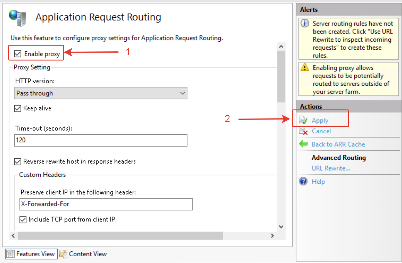 Установка флага Enable Proxy