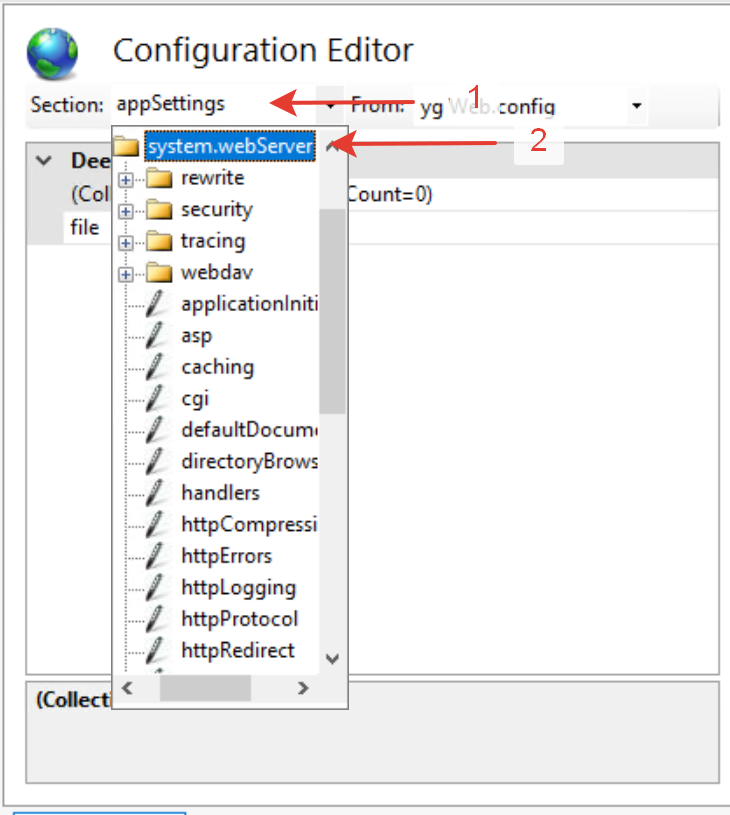 Выбор system.webServer